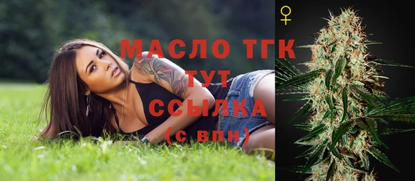 гашик Белокуриха