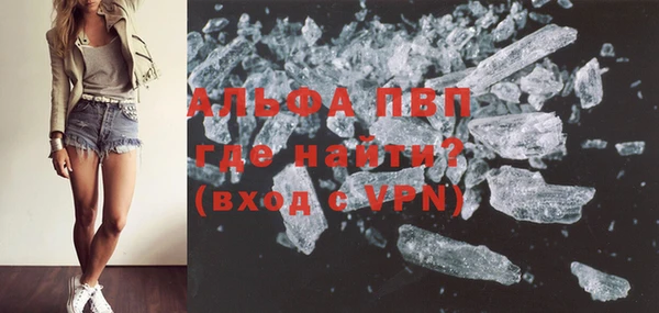 гашик Белокуриха