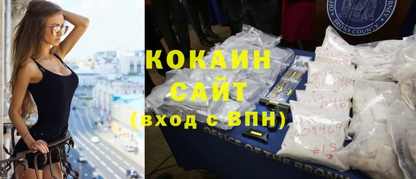 гашик Белокуриха