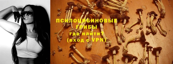 гашик Белокуриха