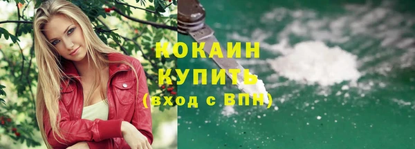 гашик Белокуриха