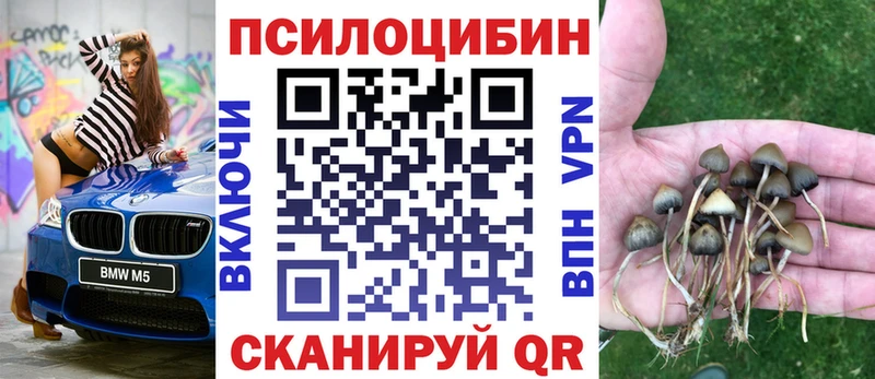 Псилоцибиновые грибы мицелий Углич